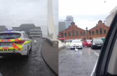Gardaí called out to remove swan from bridge in Dublin