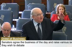 So they've been talking about seagulls in the Seanad again