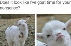 Here's what's going viral right now: Sunday