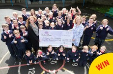 Electric Picnic has made a lovely gesture to the good people of Stradbally