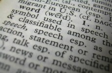New words: the official* glossary of 2011