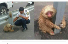 Here's what's going viral right now: Tuesday