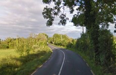 Woman and her son (14) killed after car crashes into tree