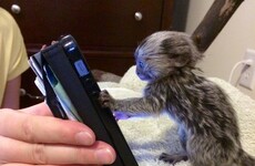Here's what's going viral right now: Thursday