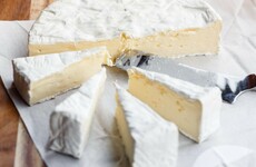 Divers find 340-year-old brie off the coast of Sweden that 'smells of life'