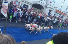 Forget the Galway Races, Roscommon had something much more interesting on last night
