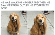 Here's what's going viral right now: Wednesday