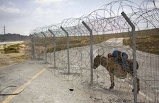 Palestinians are outraged at a donkey sale planned by the Israeli army