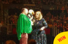 Adele brought an Irishman and his adorable dog up on stage in California