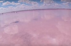This Siberian lake has just turned bright pink a couple of months early