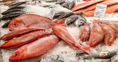 This is what it takes to become Ireland's best young fishmonger