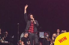 Hozier just joined the Trinity Orchestra on stage at Electric Picnic for a Bowie tribute