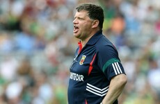 Ex-Fine Gael TD and All-Ireland winner is new Leitrim selector
