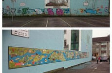 A group of volunteers have helped to transform Cork city's streets