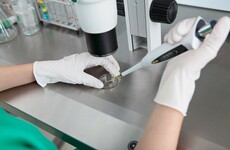 Making babies without women's eggs has just moved a step closer