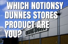 Which Notionsy Dunnes Stores Product Are You?