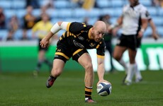 Stung rapid: Wasps destroy Zebre in 82-14 drubbing