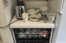 19 thoughts every Irish person has had about The F**king Dishwasher