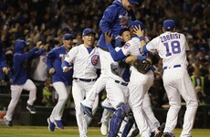 Long-suffering Cubs blitz Dodgers to reach World Series for first time in 71 years