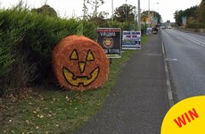 These adorable pumpkin bales of hay have been popping up in Cavan