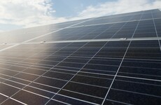 Last year was the 'turning point' when renewables toppled coal as the world's main power source