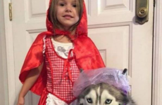 Here's what's going viral right now: Saturday