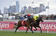 Heartbreak City for Irish horse as it's just pipped to the Melbourne Cup