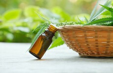 Review of medicinal cannabis begins after mother's protest march yesterday