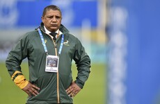 Springbok coach Coetzee points to 'unique challenges' with end of torrid tour in sight