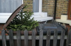 The 12 burning questions* of Xmas: Time to take the decorations down?