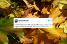 17 distinct memories of an Irish primary education