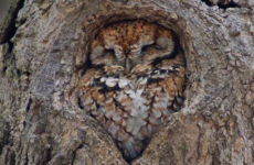Here's what's going viral today: Sunday