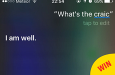 11 times Irish Siri was just the hero we all deserve