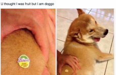 Here's what's going viral today: Monday