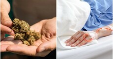 'Cancer can take such a toll. Cannabis has helped me. It picks me up'