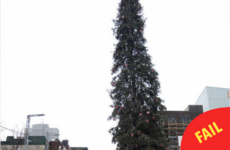 Montreal put up their Christmas tree this week and everyone is taking the piss