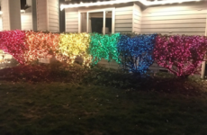 Here's what's going viral today: Sunday