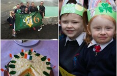 Looking back: 16 moments from the 1916 centenary that buoyed the nation's spirits