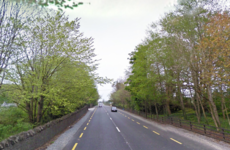 Gardaí want to speak to person who called them before pedestrian was killed