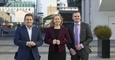 Renua's new leader is optimistic about 2017 - just don't mention the flat tax