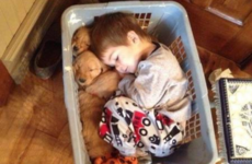 Here's what's going viral right now: Friday