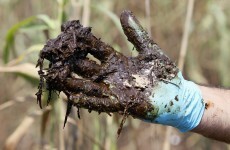 Drilling thrives 18 months after BP oil spill