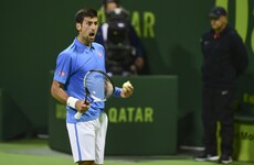 Djokovic admits 'unacceptable' to hit ball into Qatar crowd