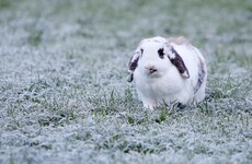Ireland is getting ready for some cold, cold weather