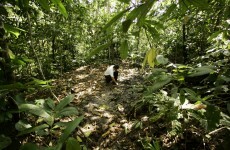 Court upholds ruling that Chevron must pay $18bn for Amazon pollution