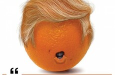 A fruit-and-veg shop in Castlebar has a special deal on oranges to welcome President Trump