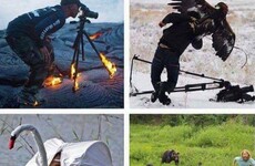 Here's what's going viral today: Thursday