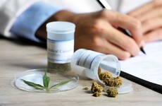 'Medicinal cannabis could be made free of charge'