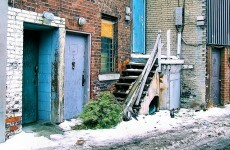 Christmas is over: time for the decorations dump