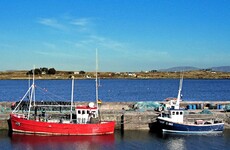 Man in his 40s dies after being struck by machinery on barge in Galway